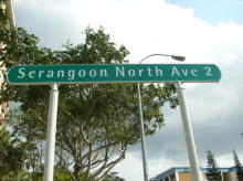 Blk 135A Serangoon North Avenue 2 (S)551135 #85262